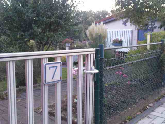 Laube7_600x450